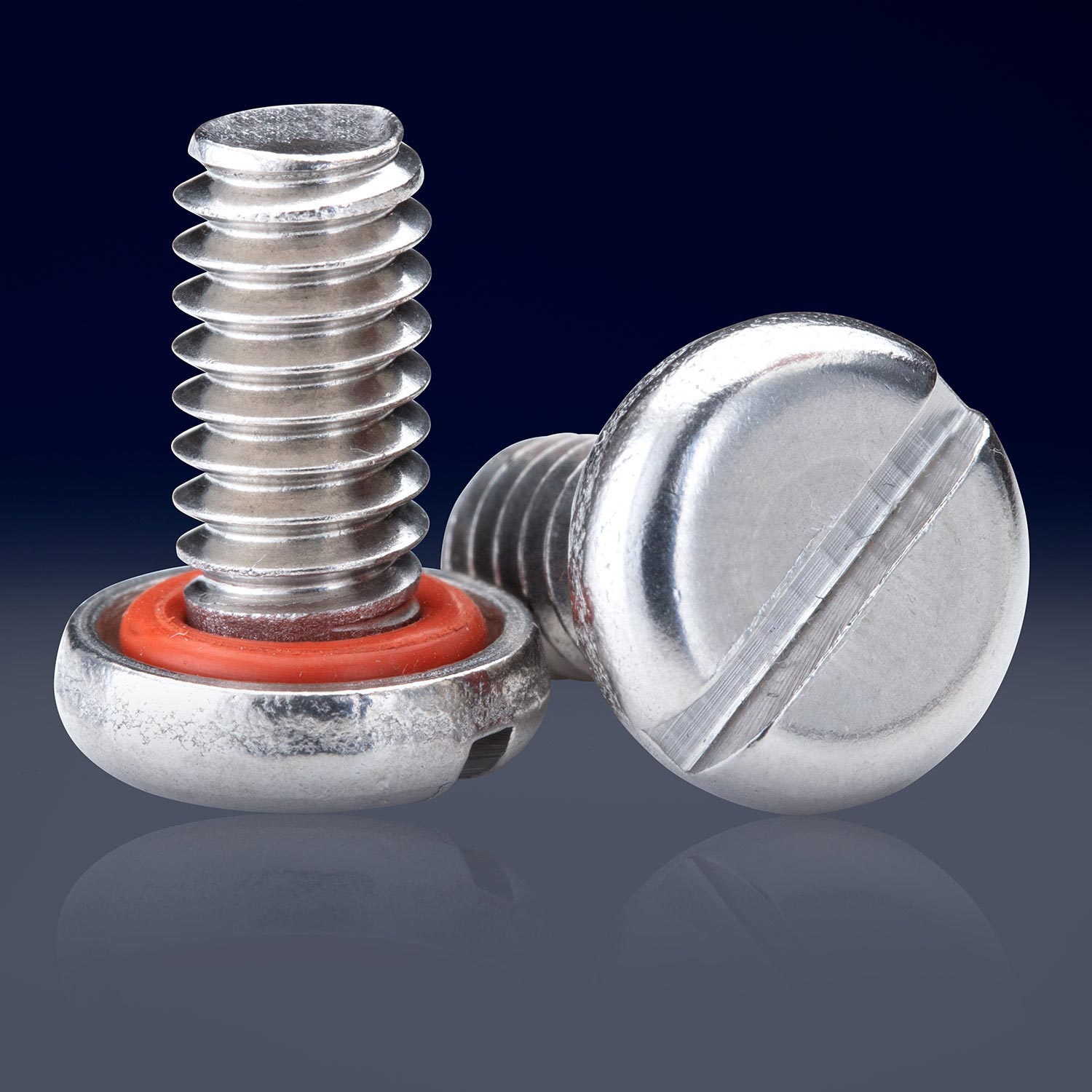 Slotted Pan Head Sealing Screw